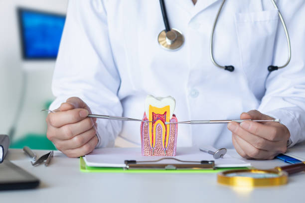 Best Emergency Broken Tooth Repair in New Cumberland, WV